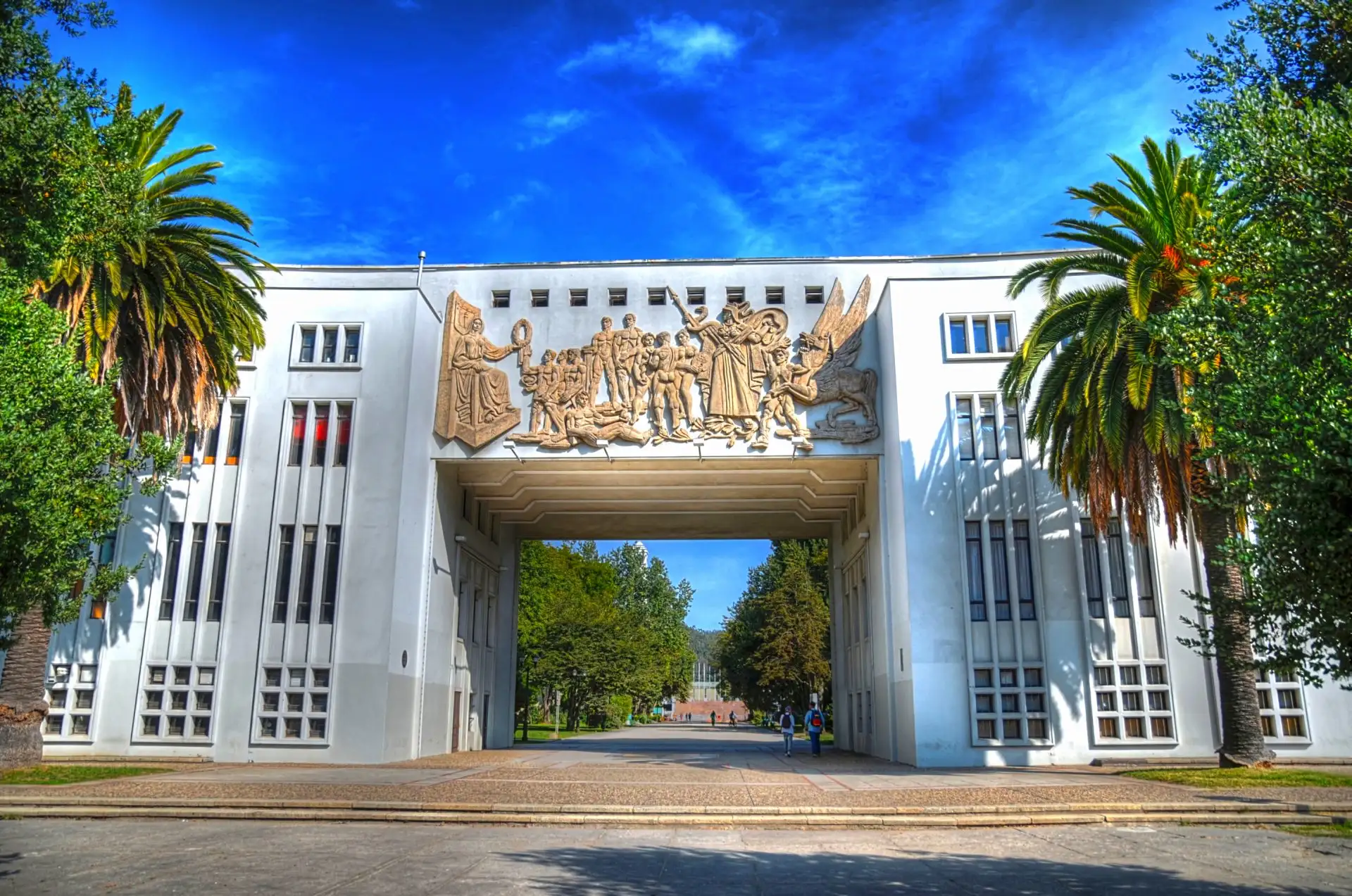 dentista verano concepcion